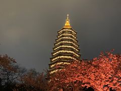 -红梅公园
