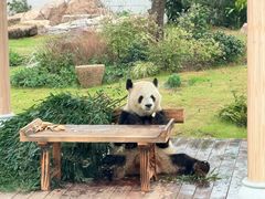 -无锡动物园·太湖欢乐园
