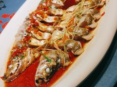 -天怡·鱼工厂(梅溪湖店)