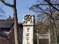 -灵谷景区