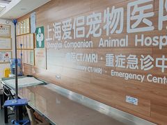 -爱侣宠医·鹦鹉专科·小型哺乳类·异宠专科(灵石路店)