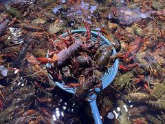 -聚盛源蒸汽海鲜火锅烤肉自助(巨川金海岸购物广场店)