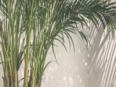 景观位-Gee Coffee Roasters (万象城店)