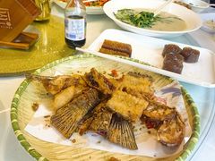 -陶缘一号·四季缘·老字号顺德菜·户外婚礼家宴(西滘店)