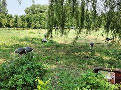 -沈阳森林动物园