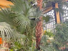 -郑州银基黄帝宫御温泉