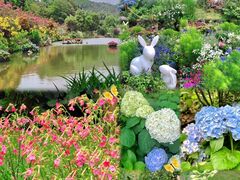 -深圳市中科院仙湖植物园