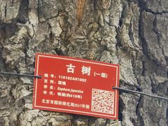 -洪福亮酒家(南草厂街店)