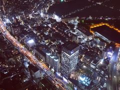-六本木新城展望台(东京城市景观)
