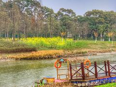 -上海长兴岛郊野公园