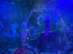 -嘉兴海底世界