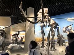 -国家自然博物馆