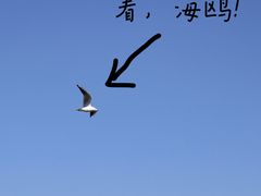 -西昌邛海湿地