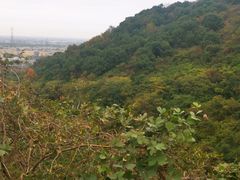 -平湖九龙山旅游度假区