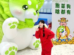 -广州热雪奇迹