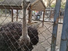 -长白岛森林公园