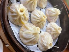 -莱莱小笼·乔艾