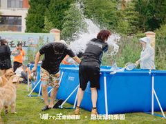 -趣玩宠物乐园寄养训犬训狗游泳池