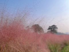 -汉长安城未央宫国家考古遗址公园