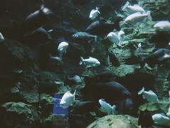 -成都浩海立方海洋公园