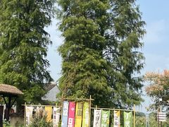 -同里国家湿地公园