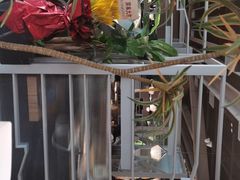 -湊湊火锅·茶憩(皇姑万象汇店)