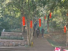 -宁波市保国寺古建筑博物馆