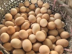 -马陆小张葡萄园农家乐