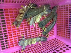 iphone_upload_pic-班赞海鲜市场