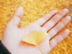 -方砖厂69号炸酱面(方砖厂胡同店)