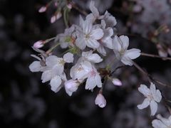 -龙美术馆(西岸馆)