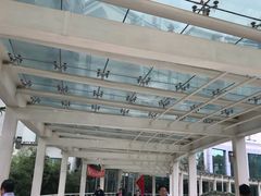 -西京医院