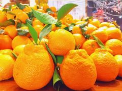 -南堂小馆·川菜馆(德商国际店)