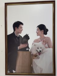 -金夫人婚纱摄影(总店)