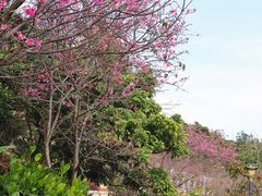 -小南山公园
