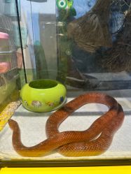 -酷嗒动物文化乐园(cutezoo西溪乐天城店)