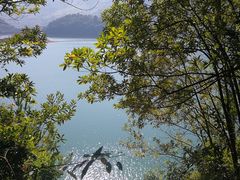 -广州市流溪河国家森林公园