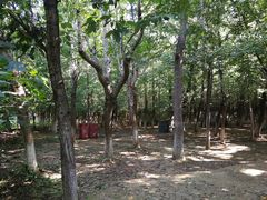 -亲兄弟真人CS团建拓展基地