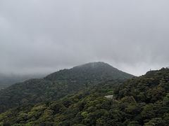 -梧桐山风景名胜区