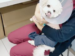 -纳吉亚猫专科动物诊疗中心(蒋宅口分院)