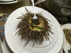 -春华海鲜城(广场西苑店)