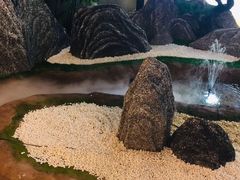 -渔家大院·地道威海菜(石岛店)