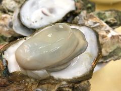 桑拿蠔-天宝食坊·啫啫煲大排档(西华路店)