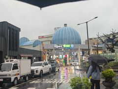 -西归浦每天偶来市场