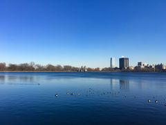 -Lady M Cake Boutique(麦迪逊大道店)