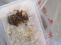 -老王豆皮