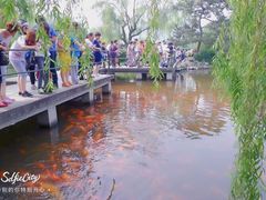 -西湖外事游船(花港观鱼码头)