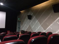 今典院线天津17.5影城(迎宾店)-完美世界影城(天津迎宾店)