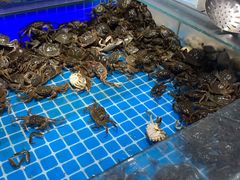 -万象·复兴号鲜肉烤肉海鲜自助(升级店)