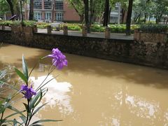 -广东外语外贸大学(白云山校区)